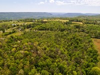 15 Acres, NW Georgia, Near Chatta : Trenton : Dade County : Georgia