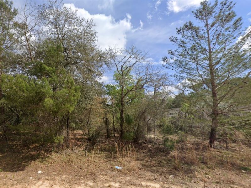 $199 Down Unlocks Your Land : Interlachen : Putnam County : Florida