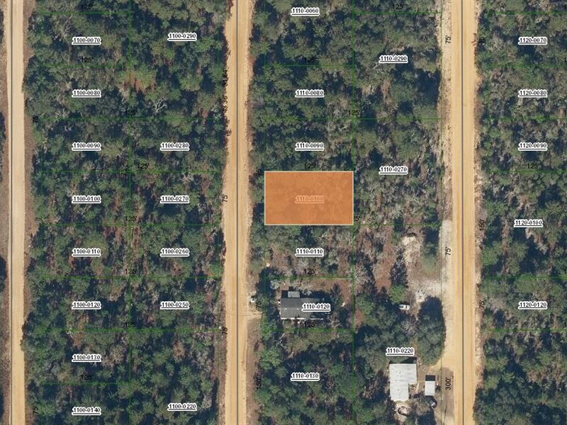 Grab Your Family Land for $199 : Interlachen : Putnam County : Florida