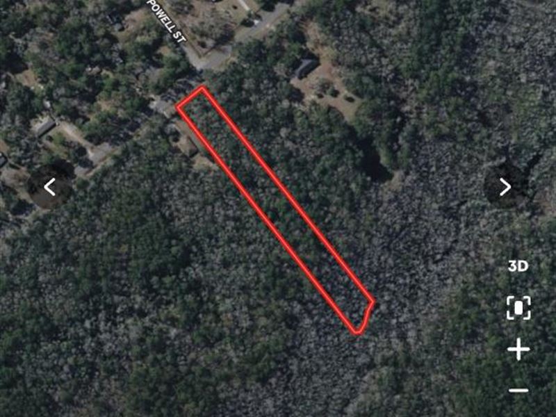 2.45 Buildable Acres, Camden Co GA : Kingsland : Camden County : Georgia