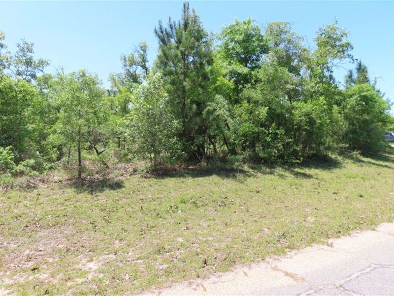 Find Your Sanctuary in Florida : Chipley : Washington County : Florida