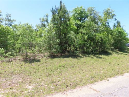 Find Your Sanctuary in Florida : Chipley : Washington County : Florida