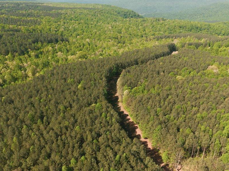 33 Acres in Marion County, TN : South Pittsburg : Marion County : Tennessee