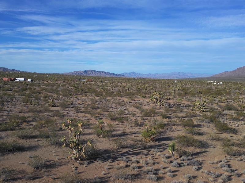 Front View of 1 Acre Lot : Mohave : Mohave County : Arizona