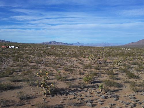 Front View of 1 Acre Lot : Mohave : Arizona