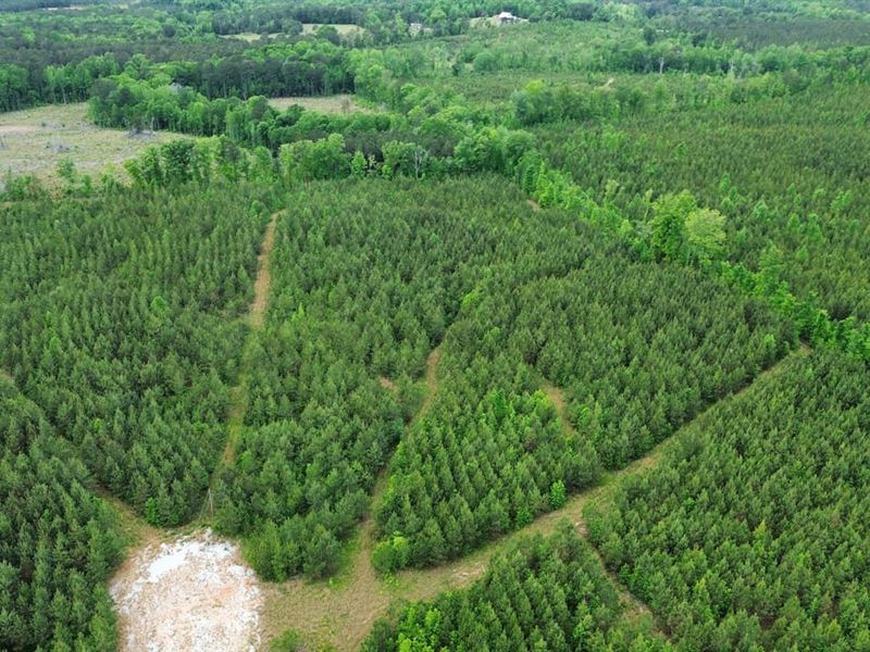 8 Acres Tallapoosa County, AL : Dadeville : Tallapoosa County : Alabama