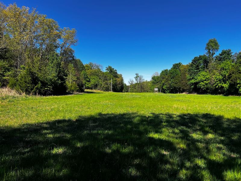 Land for Sale Kentucky 438 Acres : Bonnieville : Hart County : Kentucky