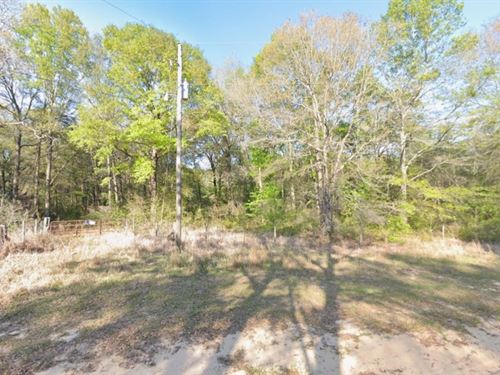 1.5 Acres Unrestricted Two Lots : Wilmer : Mobile County : Alabama