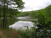 Wooded Lot, Community Lake : Altamont : Grundy County : Tennessee