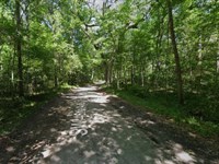 Suwanee River Campsites Lot in FL : Jasper : Hamilton County : Florida
