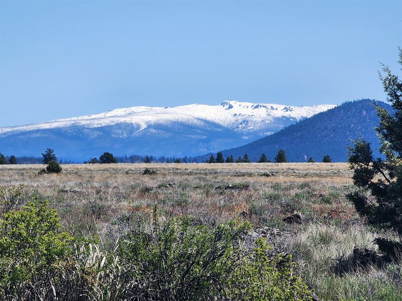 Affordable Escape Lot in Chiloquin : Chiloquin : Klamath County : Oregon
