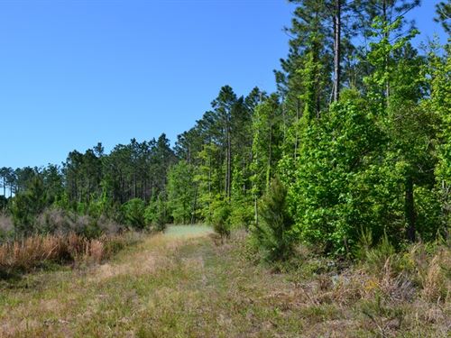 Mayberry Tract 3 : Dublin : Laurens County : Georgia