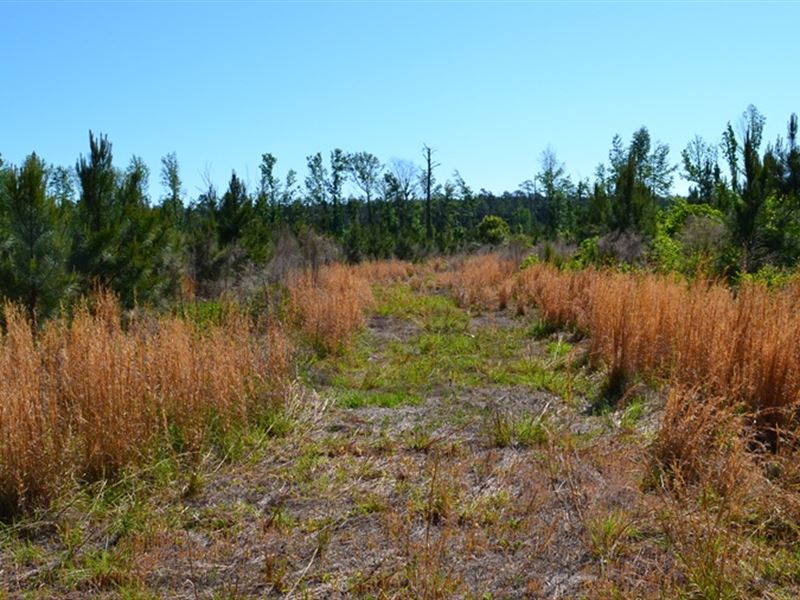 Mayberry Tract 2 : Dublin : Laurens County : Georgia