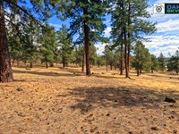 Live at Running Y Resort : Klamath Falls : Klamath County : Oregon