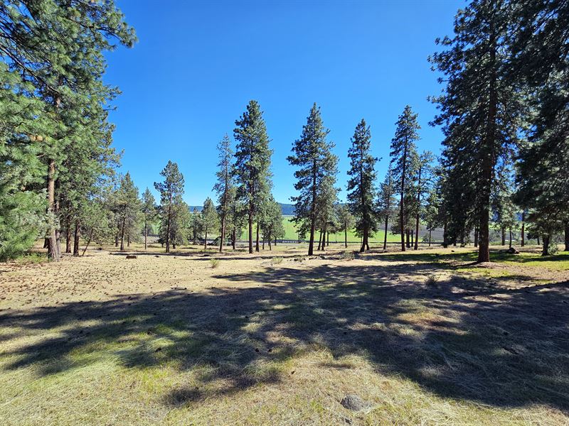 Where The Active Life Lives : Klamath Falls : Klamath County : Oregon