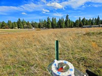 Rare Double Lot, Room : Chiloquin : Klamath County : Oregon