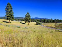 Trade Rent for Mountain Views : Chiloquin : Klamath County : Oregon