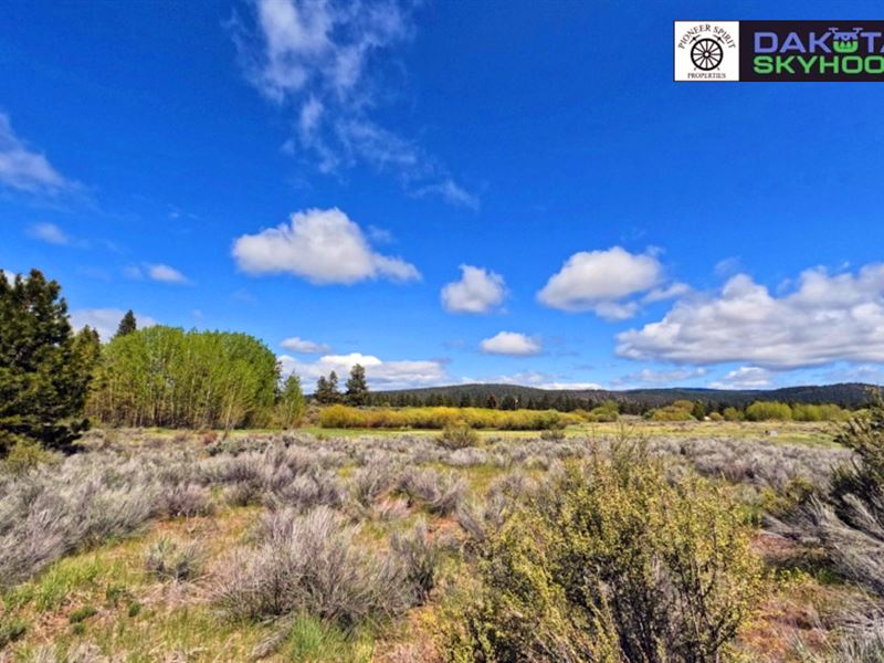 Lot Backing to 80 Acres of Openness : Chiloquin : Klamath County : Oregon