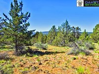 Your Plan B Needs Real Ground : Bonanza : Klamath County : Oregon