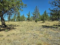 Your Plan B Needs Real Ground : Bonanza : Klamath County : Oregon