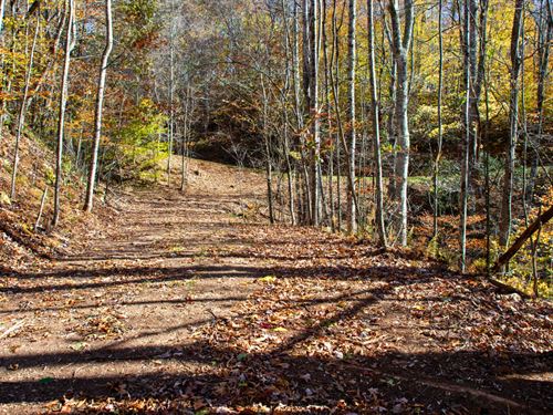 Off-Grid Near New River : Creston : Ashe County : North Carolina