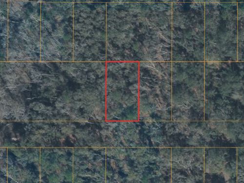 .23 Acres in Suwannee County FL : Live Oak : Suwannee County : Florida
