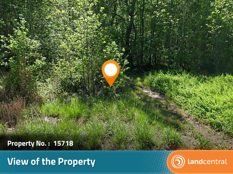 1.33 Acre Gorgeous Land in NC : Lincoln : Lincoln County : North Carolina