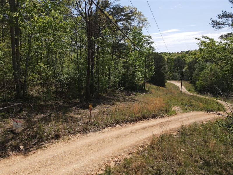 Little River Private Drive : Blanche : Cherokee County : Alabama