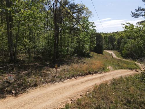 Little River Private Drive : Blanche : Cherokee County : Alabama