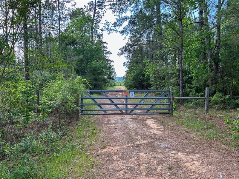 76 Acres, Off FM 1277 : San Augustine : San Augustine County : Texas