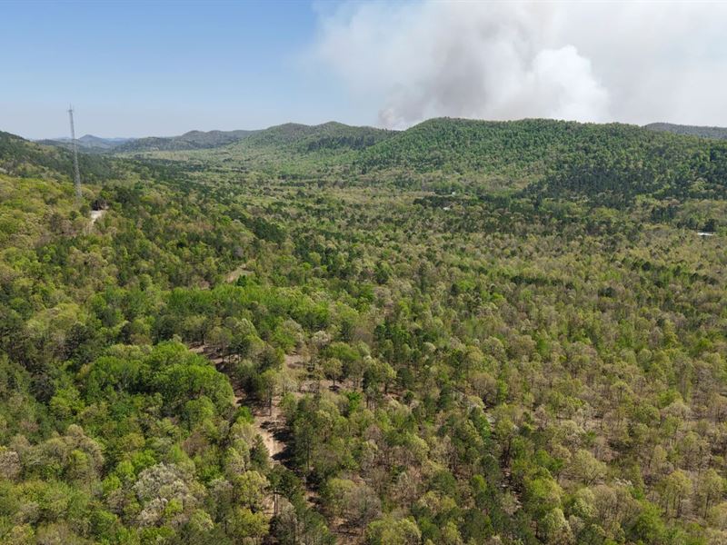 3 Acres Tract 6 in Polk County : Mena : Polk County : Arkansas