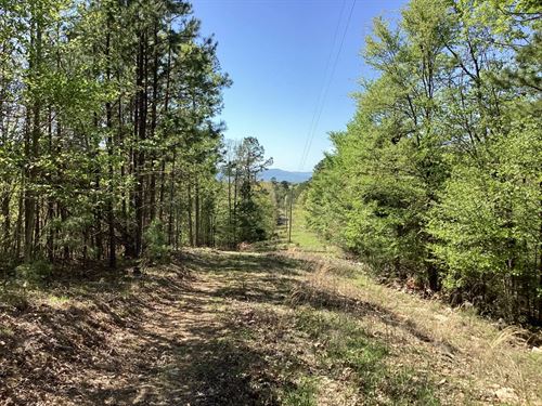 4 Acres Tract 7 in Polk County : Mena : Polk County : Arkansas