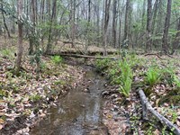 17 Ac Near Lake Martin And Hwy 2 : Jackson's Gap : Tallapoosa County : Alabama