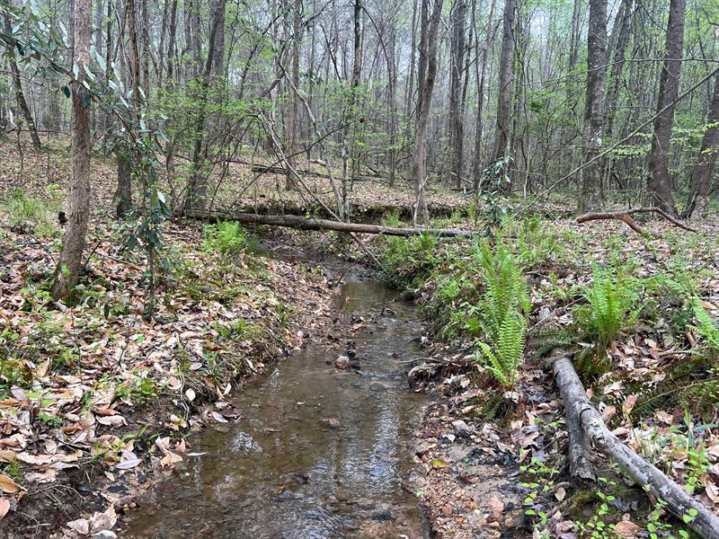 17 Ac Near Lake Martin and Hwy 2 : Jackson's Gap : Tallapoosa County : Alabama