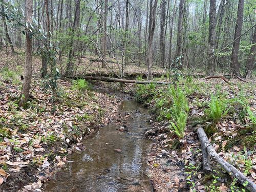 17 Ac Near Lake Martin And Hwy 2 : Jackson's Gap : Tallapoosa County : Alabama
