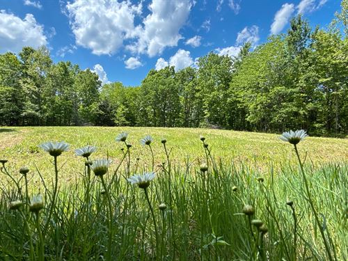 38 Acres, Hickman County, Tenness : Centerville : Hickman County : Tennessee