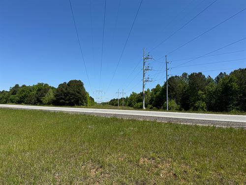 14 Acres, Highway 280 Frontage : Dadeville : Tallapoosa County : Alabama