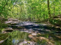 Brewer's Bridge Tract : Elberton : Elbert County : Georgia