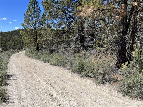 River Park Land $265/Mo : Chiloquin : Klamath County : Oregon