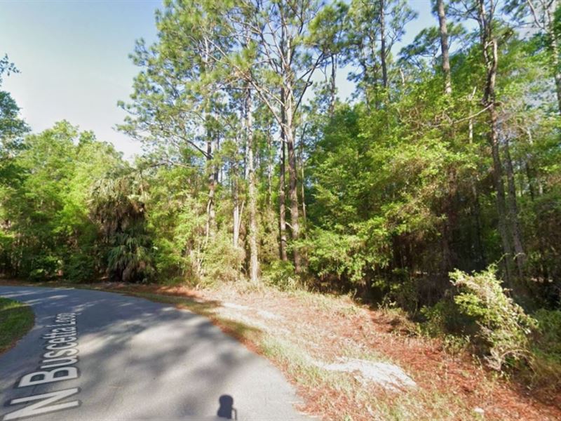 Nice Lot in Crystal River Florida : Crystal River : Citrus County : Florida