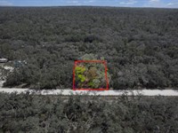 Suwannee Highlands Lot Live Oak : Live Oak : Suwannee County : Florida