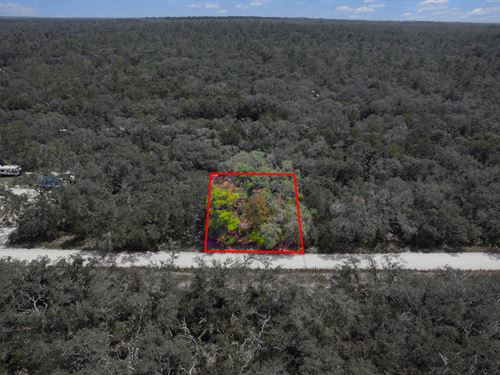 Suwannee Highlands Lot Live Oak : Live Oak : Suwannee County : Florida