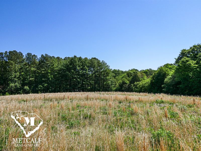 4 Acre Homesite in Grassy Pond Area : Gaffney : Cherokee County : South Carolina
