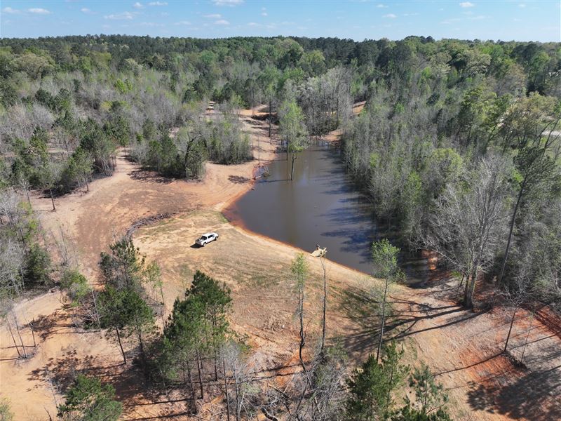 Moonlight Springs 78 : Banks : Pike County : Alabama