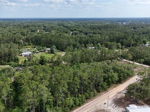 Prime Florida Lot, Easy to Build : Interlachen : Putnam County : Florida