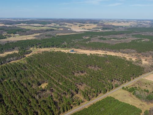 247.26 Acres Trempealeau County : Osseo : Trempealeau County : Wisconsin