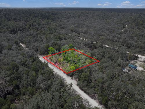 Homesite Close to Attractions : Live Oak : Suwannee County : Florida