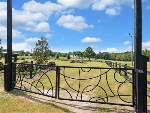 Where Horses Roam &Opportunity Ride : Hartwell : Hart County : Georgia