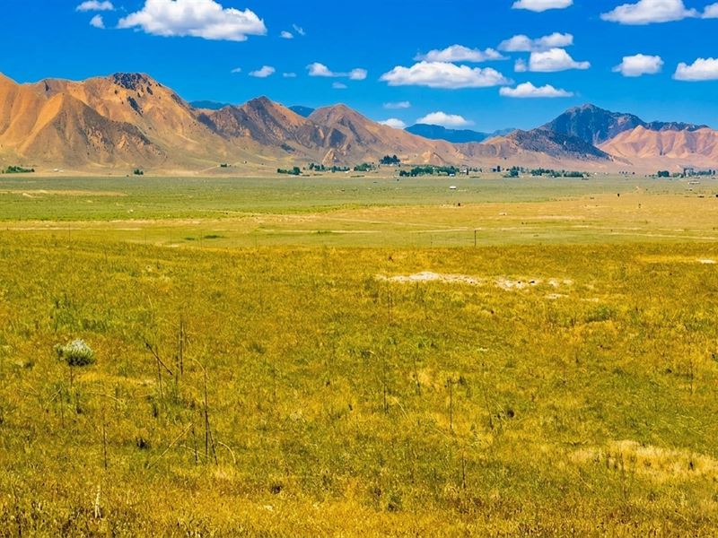 Rural Land for Sale in California : Santa Margarita : San Luis Obispo County : California