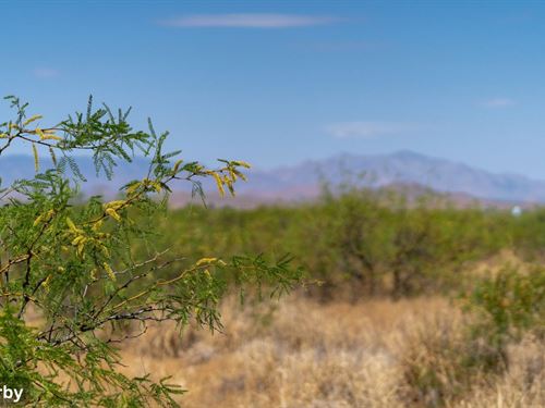 Affordable Desert Lot Near Douglas : Douglas : Cochise County : Arizona